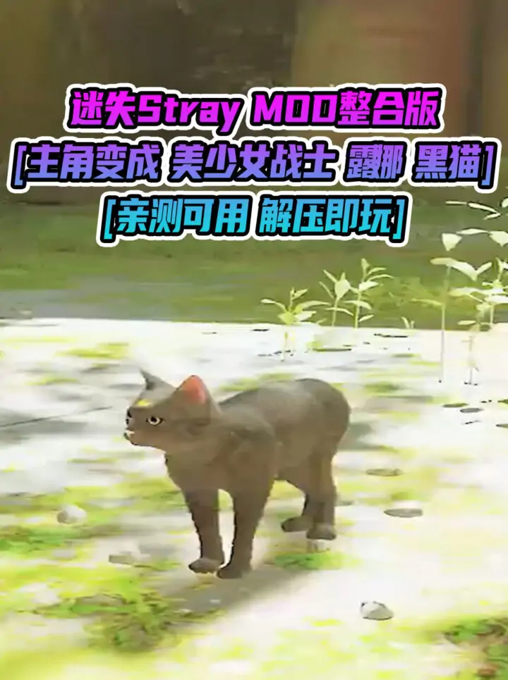 迷失Stray MOD整合版 [主角变成 美少女战士 露娜 黑猫] 简体中文 免安装 绿色版 [亲测可用 解压即玩]【6.21GB】_单机乐_GTAMOD整合版_游戏网