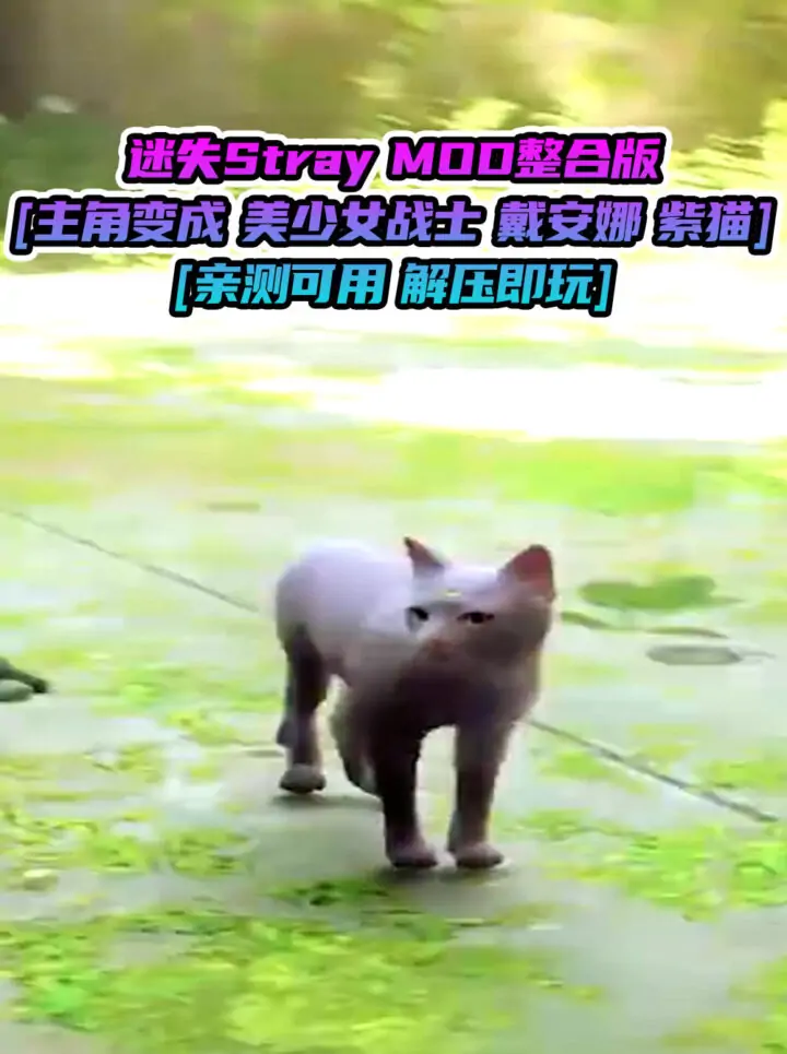 迷失Stray MOD整合版 [主角变成 美少女战士 戴安娜 紫猫] 简体中文 免安装 绿色版 [亲测可用 解压即玩]【6.21GB】_单机乐_GTAMOD整合版_游戏网