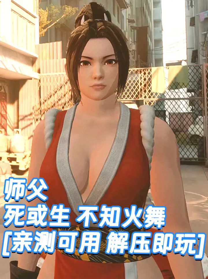 师父 MOD整合版 [主角变成 死或生 不知火舞] 简体中文 国语配音 免安装 绿色版 [亲测可用 解压即玩]【30.0GB】_单机乐_GTAMOD整合版_游戏网