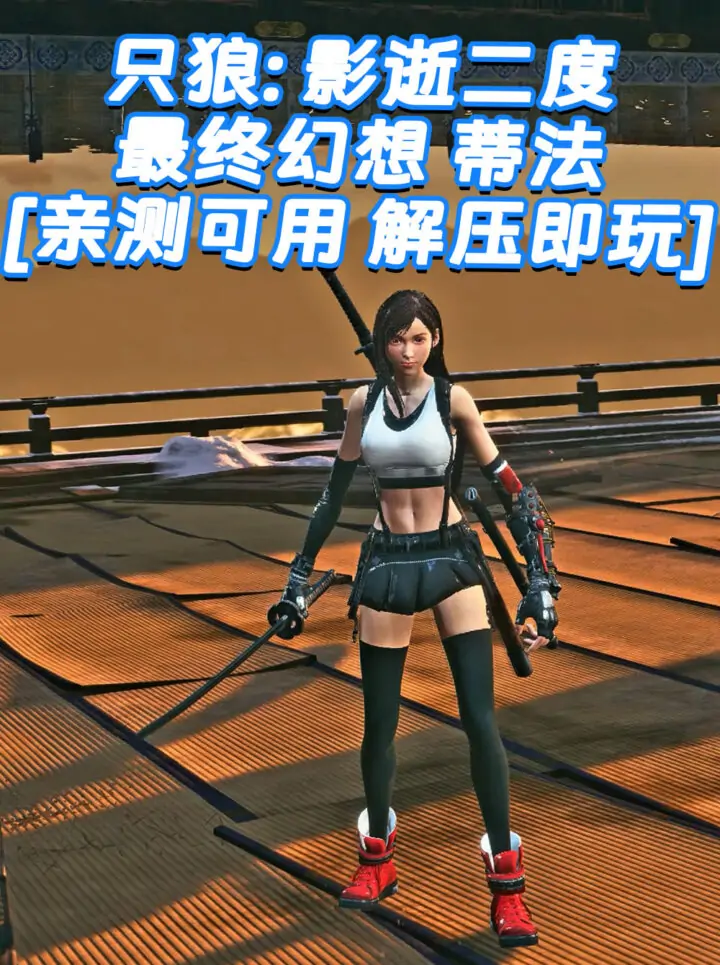 只狼：影逝二度 MOD整合版 [主角变成 最终幻想 蒂法 洛克哈特] 简体中文 免安装 绿色版 [亲测可用 解压即玩]【13.0GB】_单机乐_GTAMOD整合版_游戏网