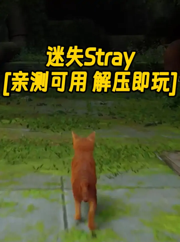 迷失Stray 简体中文 免安装 绿色版 [亲测可用 解压即玩]【6.54GB】_单机乐_GTAMOD整合版_游戏网